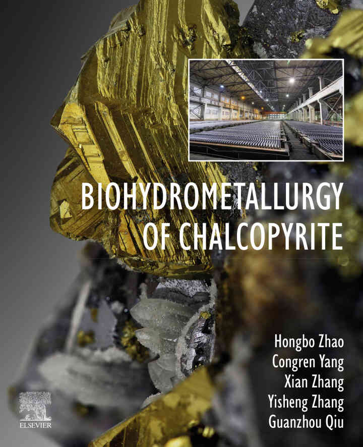 Biohydrometallurgy of Chalcopyrite ebook