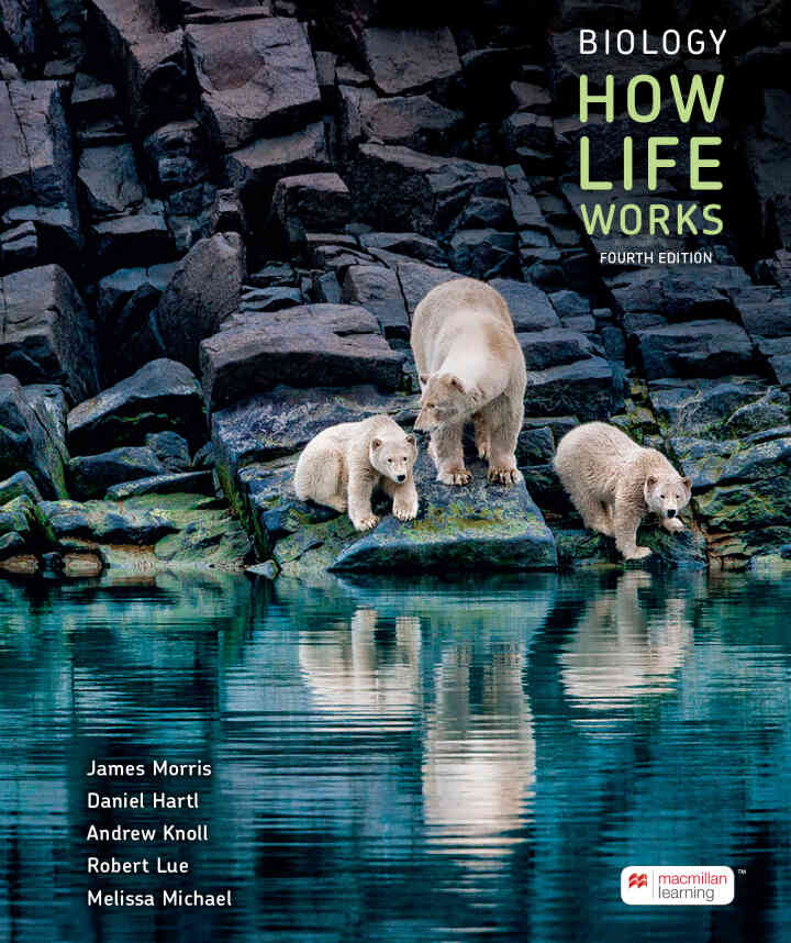 Biology: How Life Works, 4th Edition ebook