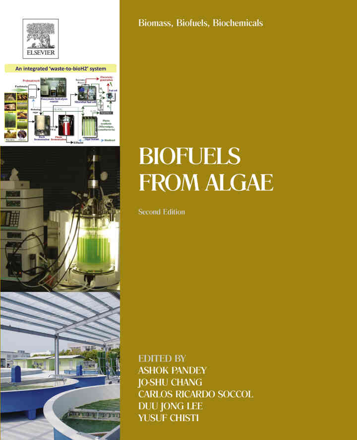 Biomass, Biofuels, Biochemicals: Biofuels from Algae ebook