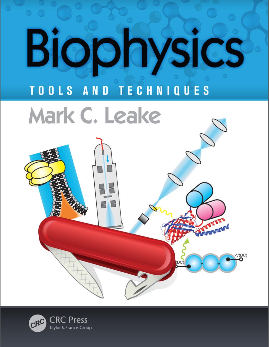 Biophysics: Tools and Techniques ebook