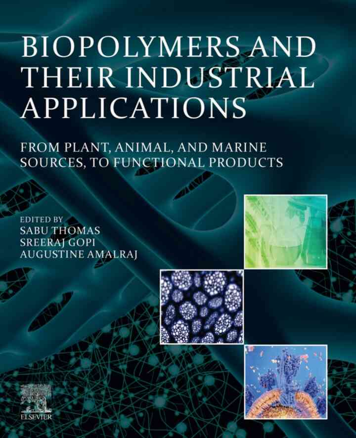 Biopolymers and Their Industrial Applications: From Plant, Animal, and Marine Sources, to Functional Products ebook