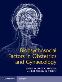 Biopsychosocial Factors in Obstetrics and Gynaecology ebook