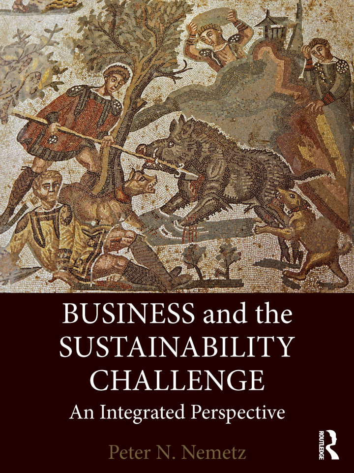 Business and the Sustainability Challenge: An Integrated Perspective ebook