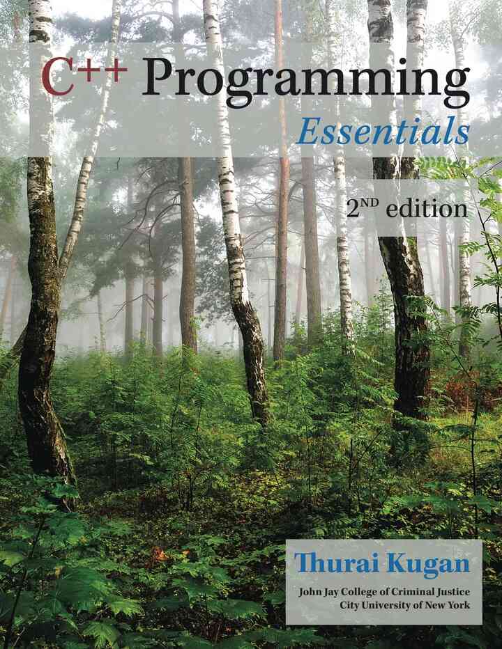 C++ Programming Essentials, 2nd Edition ebook