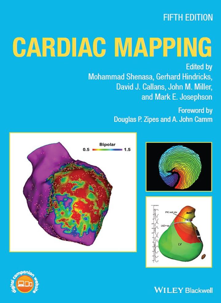 Cardiac Mapping ebook