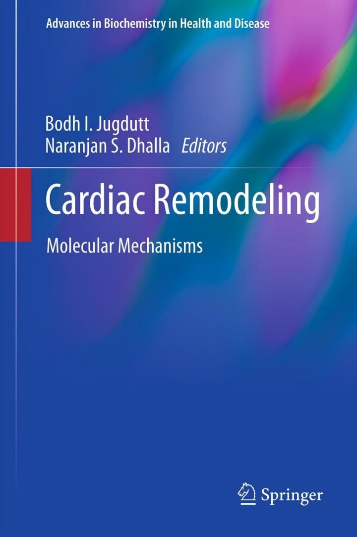 Cardiac Remodeling: Molecular Mechanisms ebook