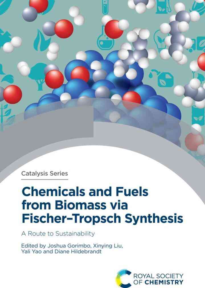 Chemicals and Fuels from Biomass via Fischer�Tropsch Synthesis: A Route to Sustainability ebook