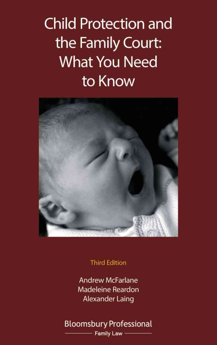Child Protection and the Family Court: What you Need to Know ebook