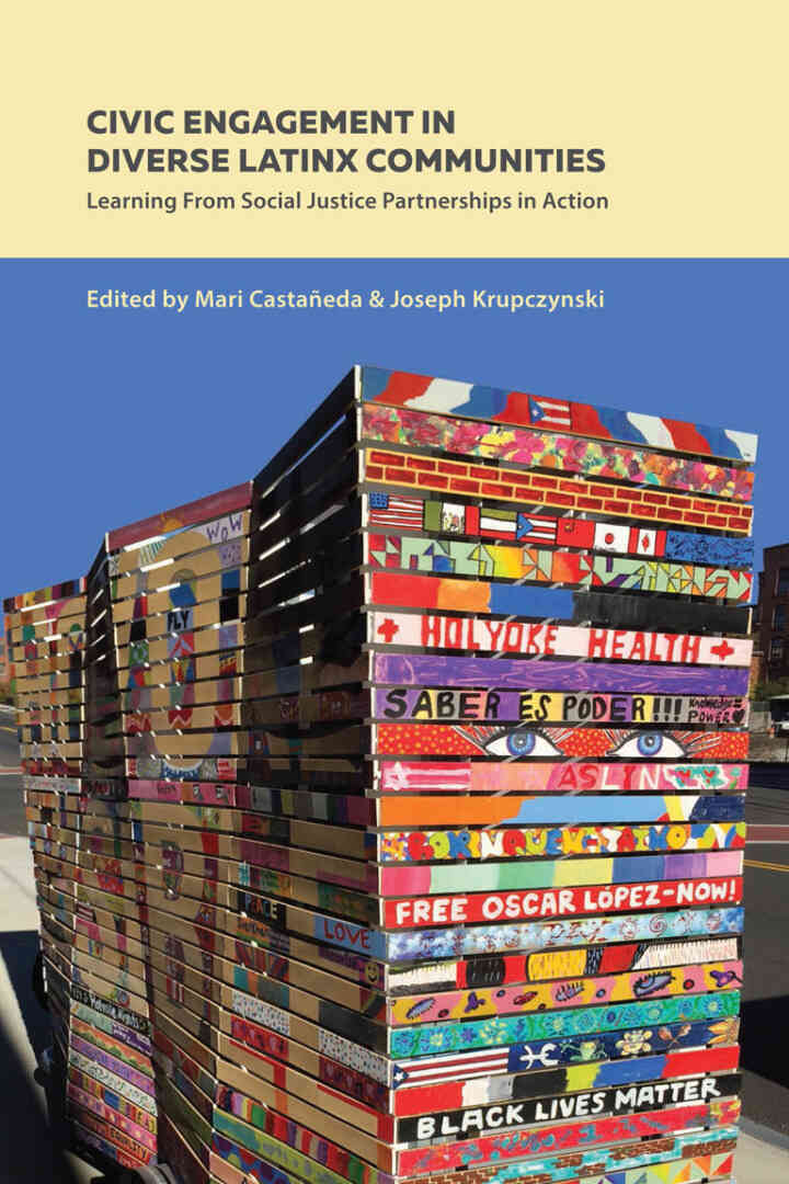 Civic Engagement in Diverse Latinx Communities: Learning From Social Justice Partnerships in Action ebook
