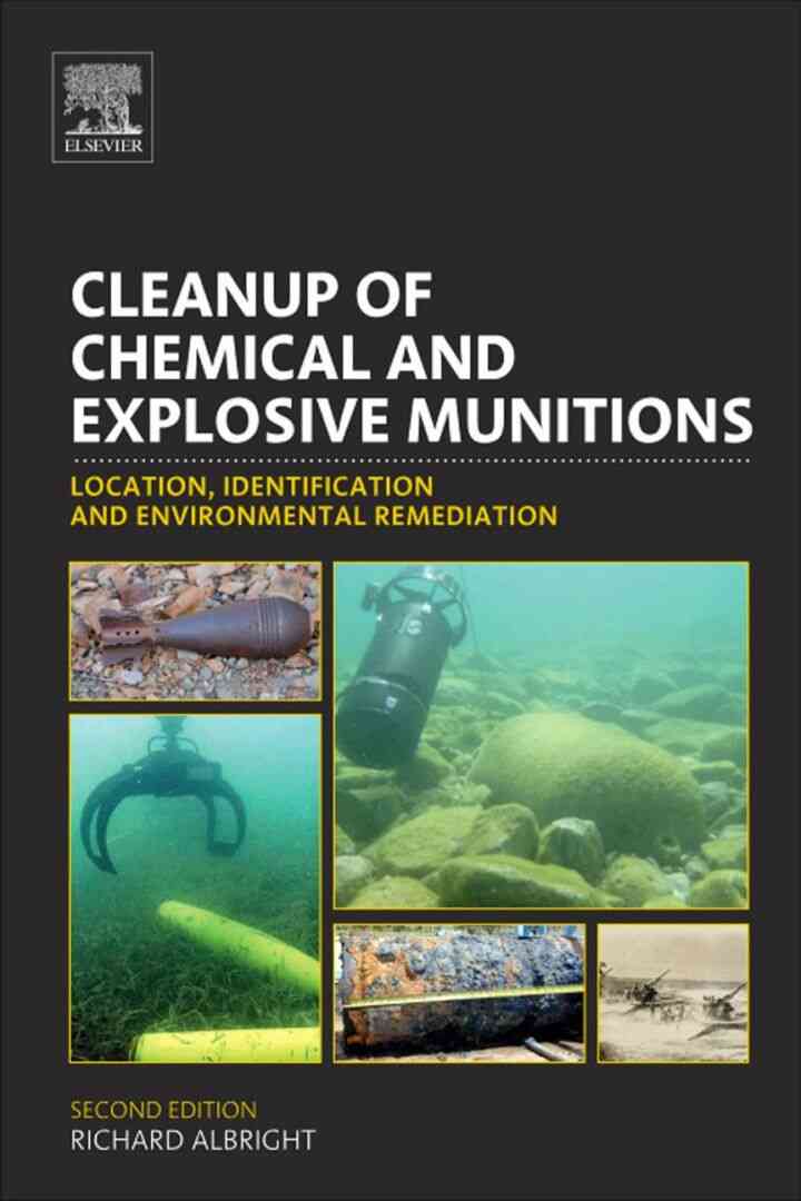 Cleanup of Chemical and Explosive Munitions: Location, Identification and Environmental Remediation ebook