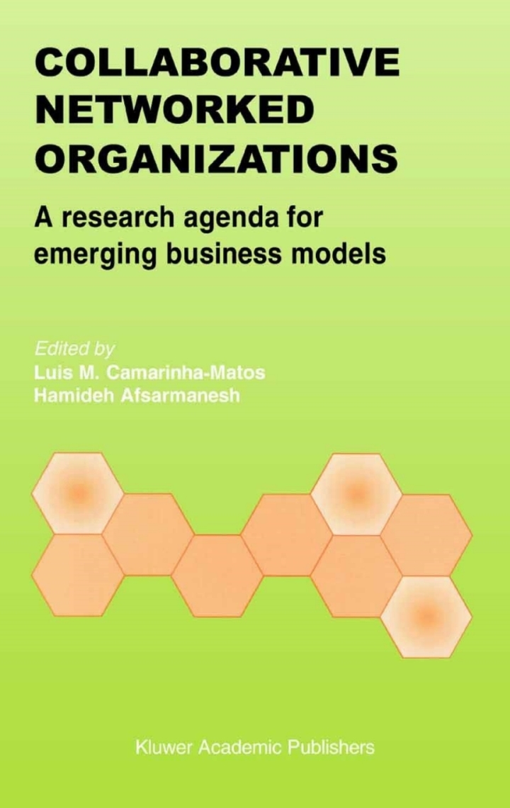 Collaborative Networked Organizations: A research agenda for emerging business models ebook