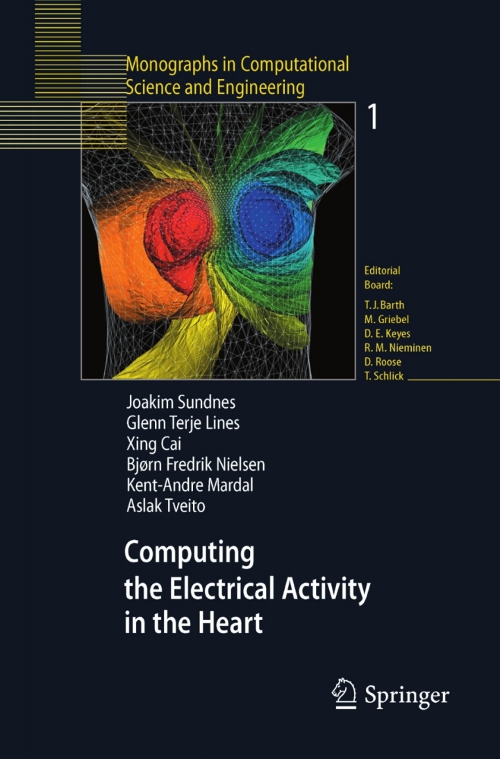 Computing the Electrical Activity in the Heart ebook