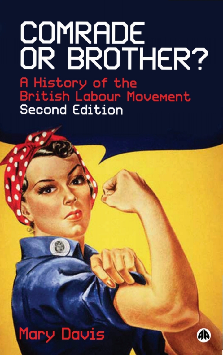 Comrade or Brother?: A History of the British Labour Movement ebook