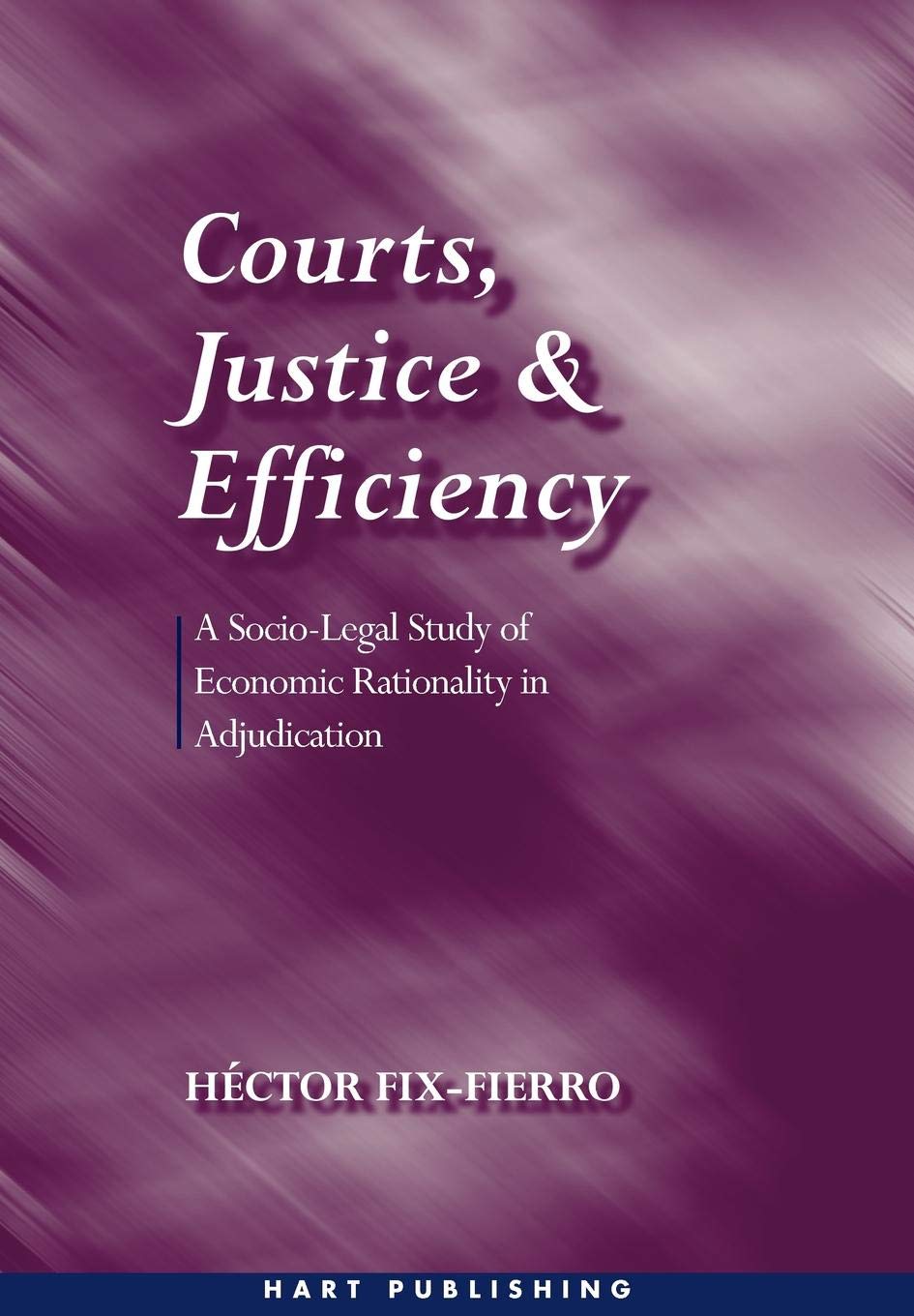 Courts, Justice, and Efficiency: A Socio-legal Study of Economic Rationality in Adjudication ebook