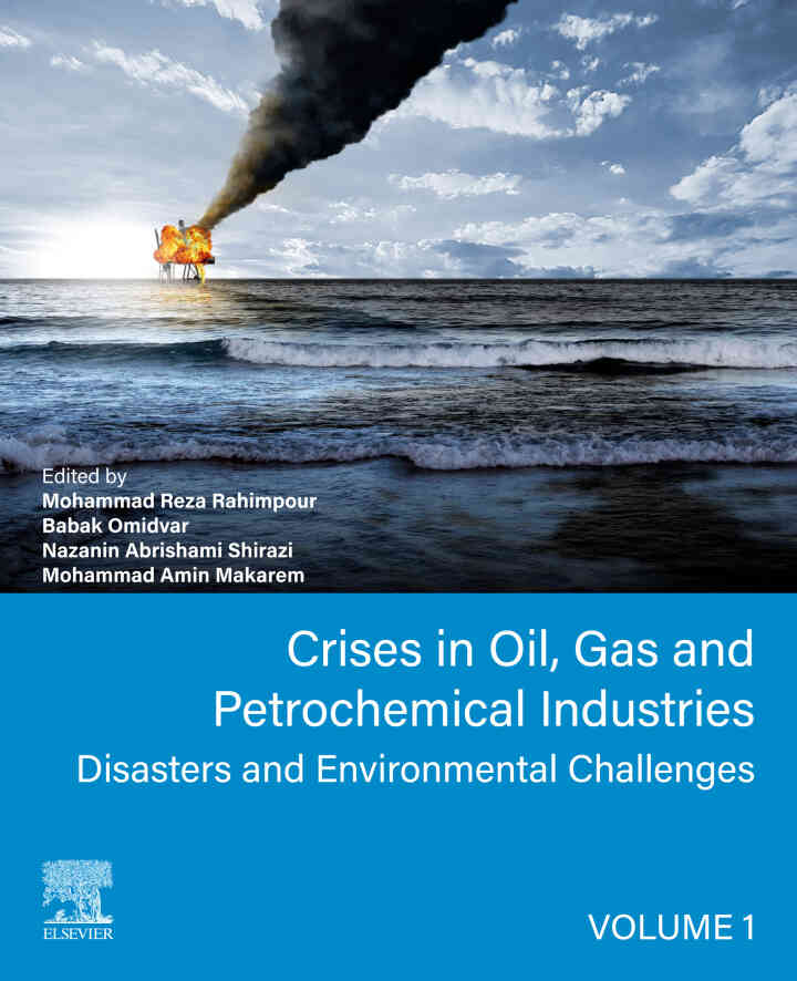 Crises in Oil, Gas and Petrochemical Industries: Disasters And Environmental Challenges ebook
