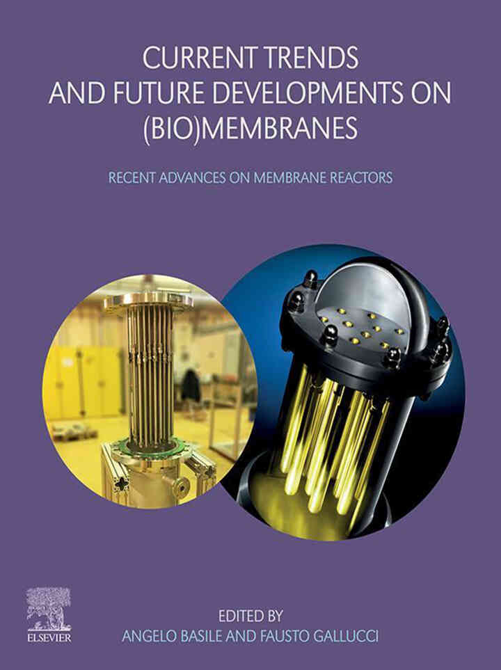 Current Trends and Future Developments on (Bio-) Membranes: Recent Advances on Membrane Reactors ebook