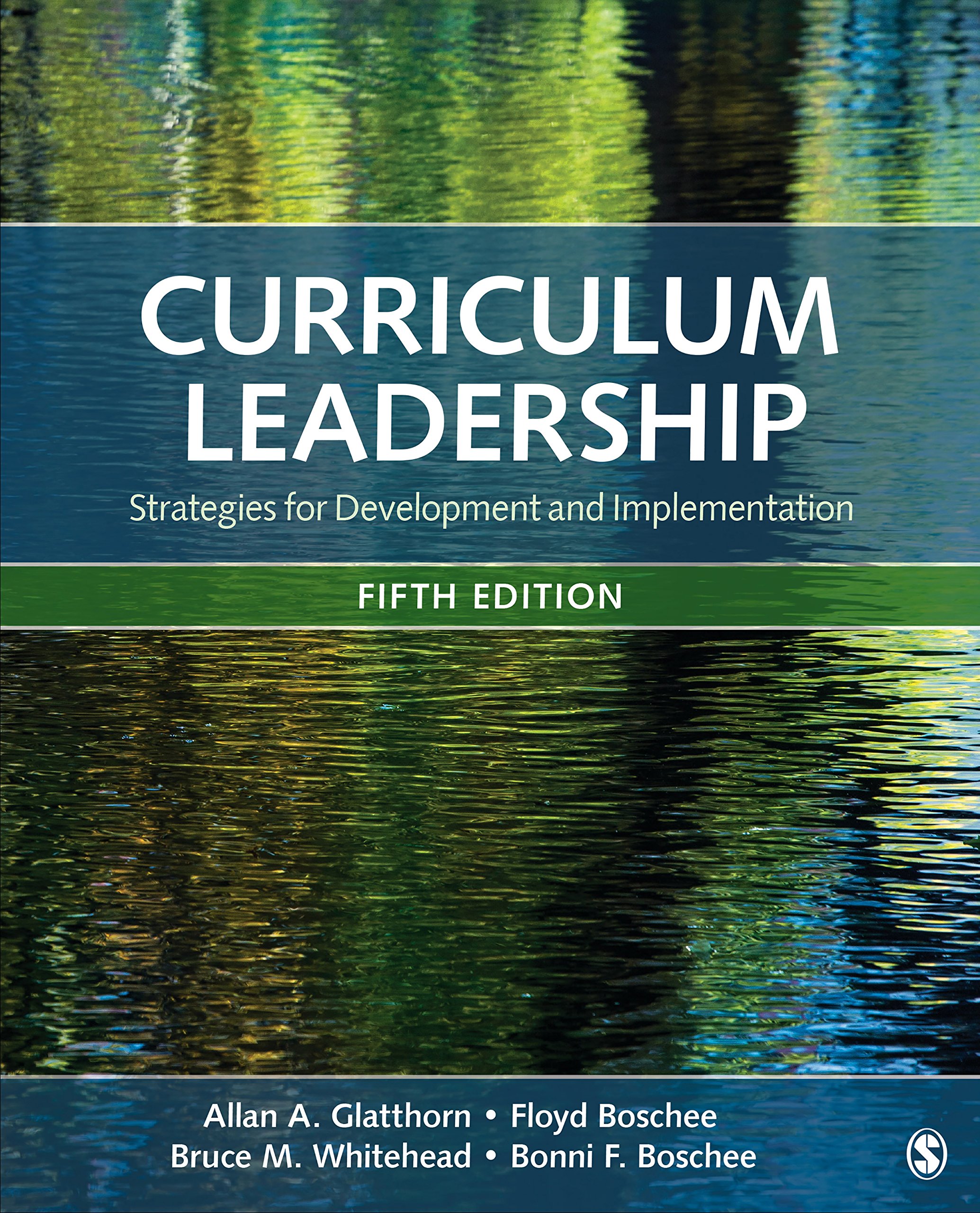 Curriculum Leadership: Strategies for Development and Implementation ebook