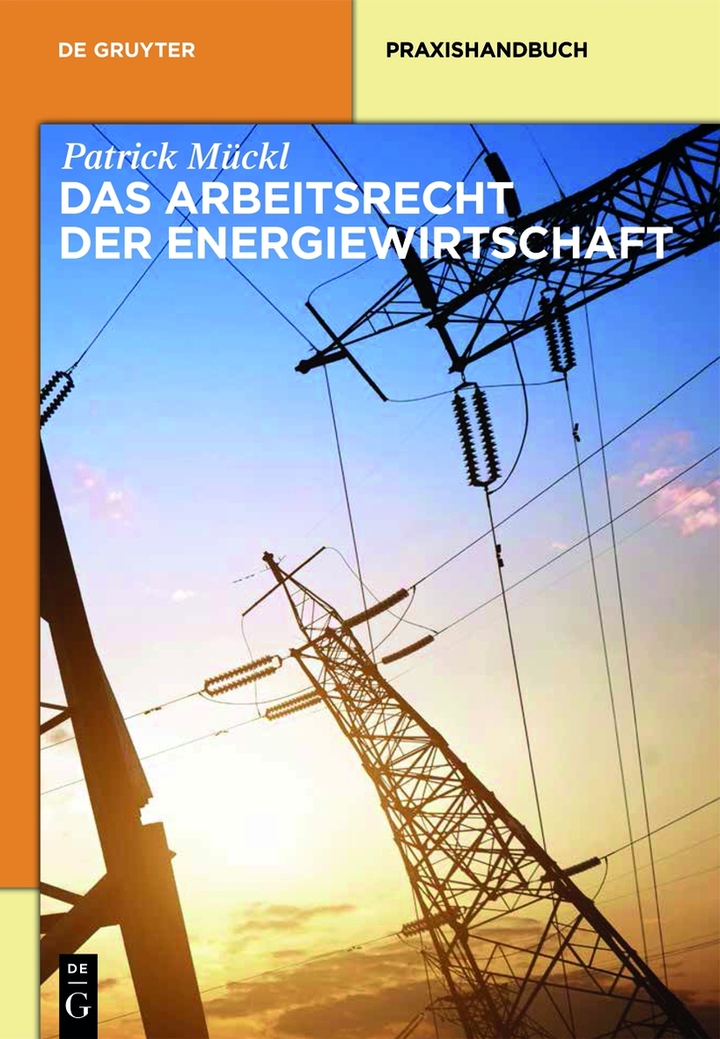 Das Arbeitsrecht der Energiewirtschaft ebook