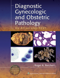 Diagnostic Gynecologic and Obstetric Pathology ebook