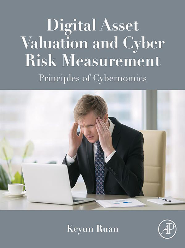 Digital Asset Valuation and Cyber Risk Measurement: Principles of Cybernomics ebook