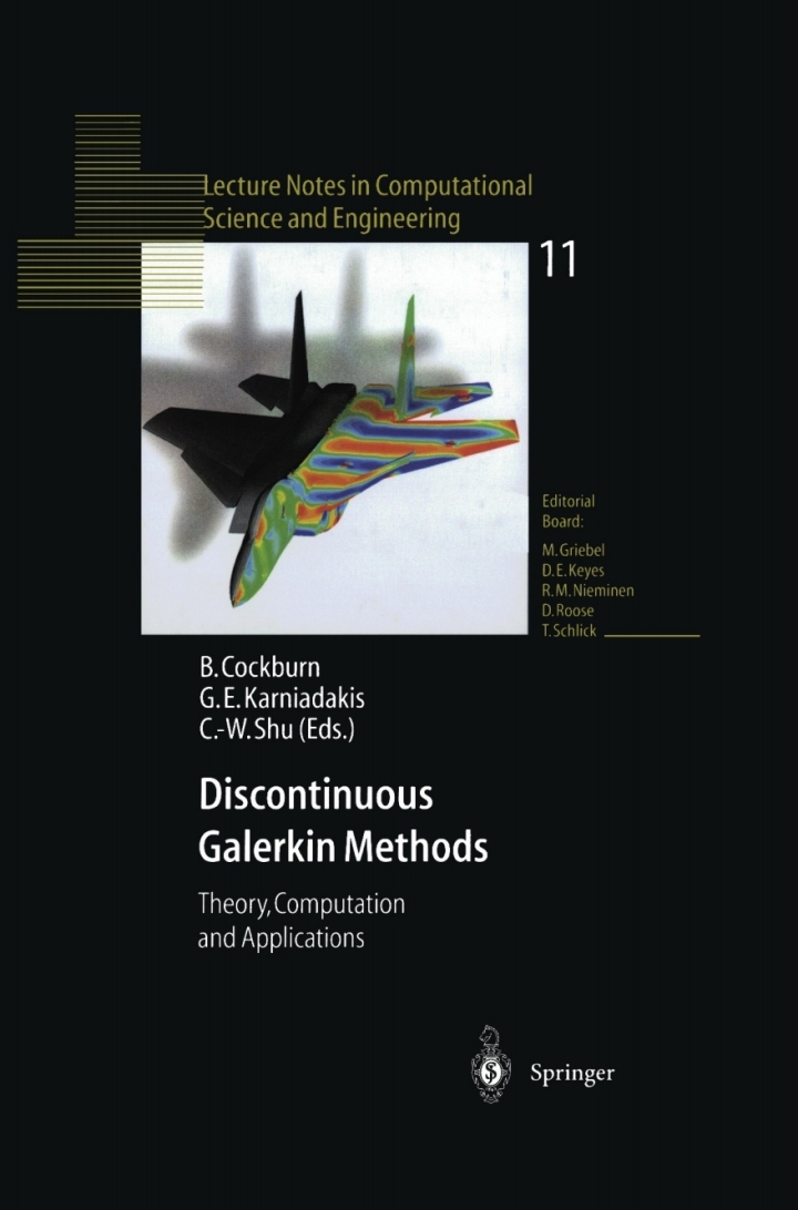 Discontinuous Galerkin Methods: Theory, Computation and Applications ebook
