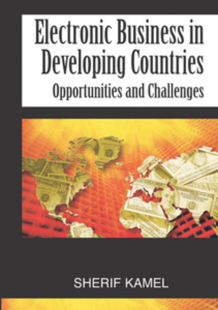 Electronic Business in Developing Countries ebook