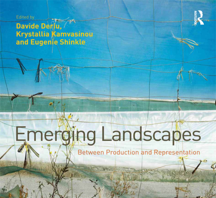 Emerging Landscapes: Between Production and Representation ebook