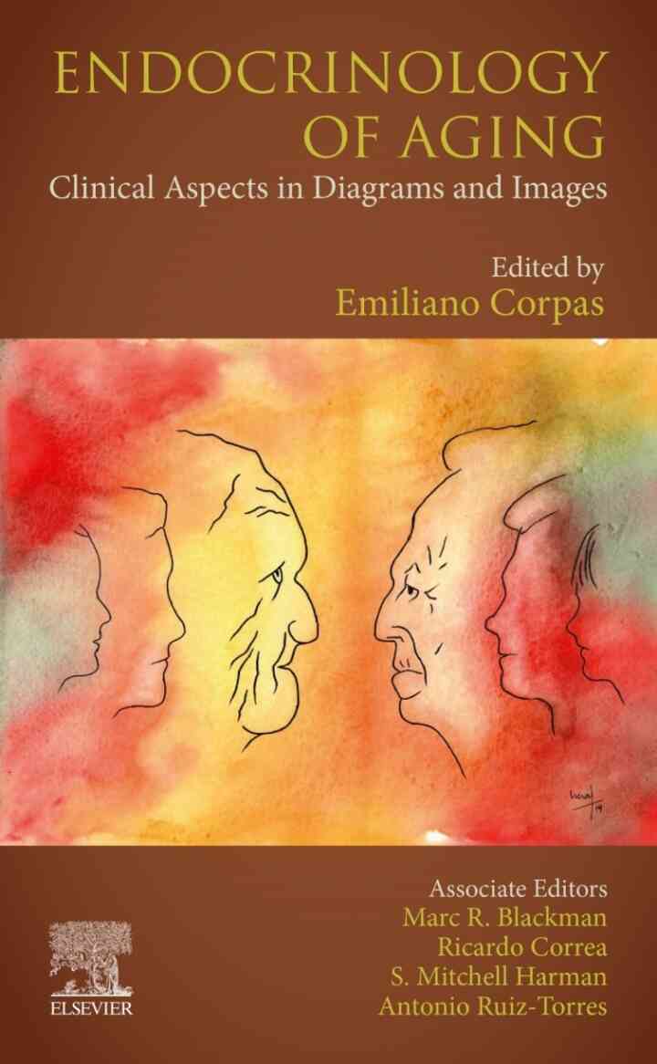 Endocrinology of Aging: Clinical Aspects in Diagrams and Images ebook