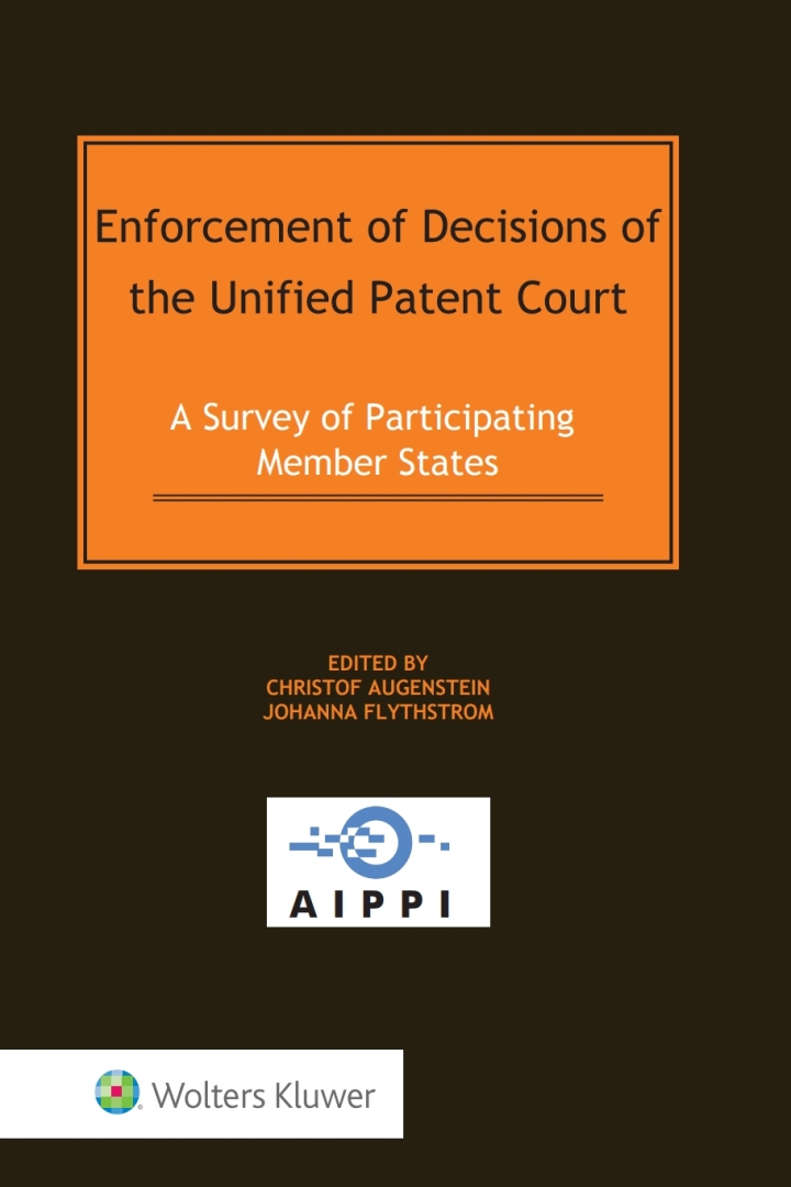 Enforcement of Decisions of the Unified Patent Court: A Survey of Participating Member States ebook