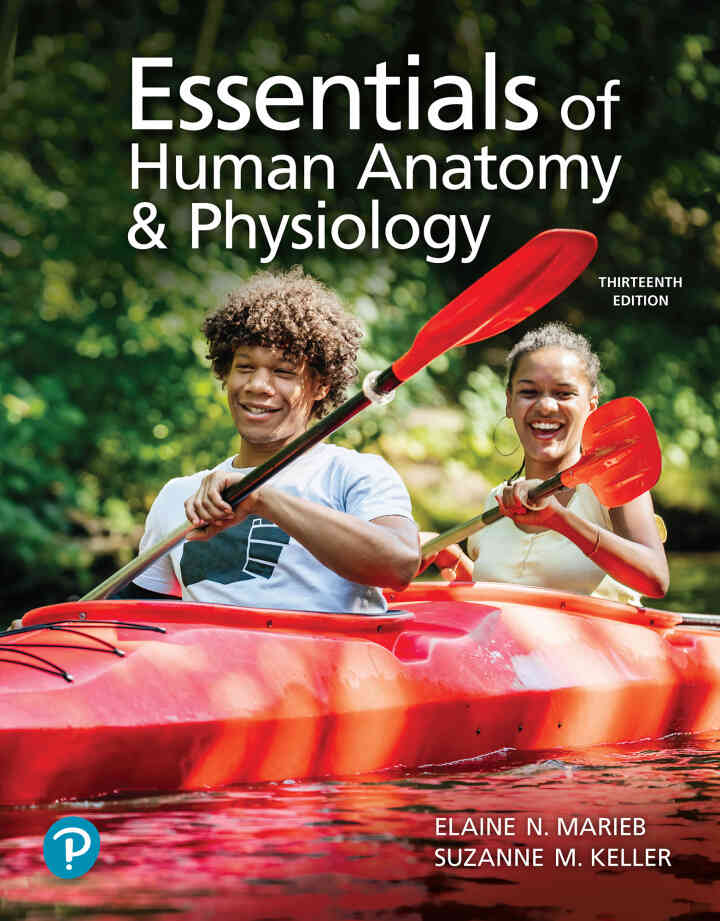 Essentials of Human Anatomy & Physiology, 13th Edition ebook