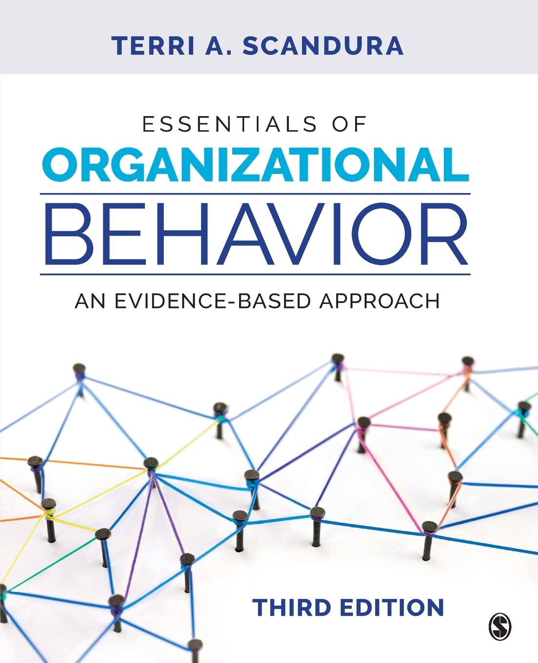 Essentials of Organizational Behavior: An Evidence-Based Approach, 3rd Edition ebook
