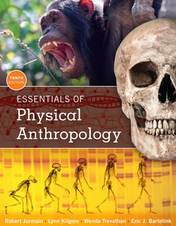 Essentials of Physical Anthropology, 10th Edition ebook