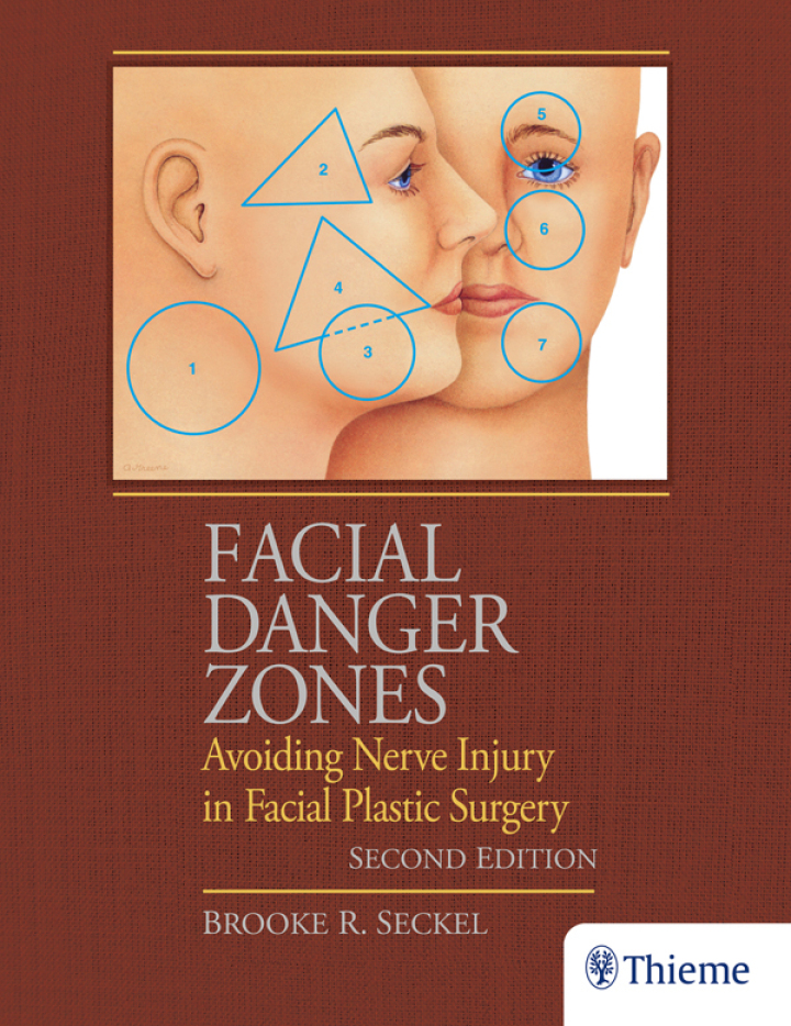 Facial Danger Zones: Avoiding Nerve Injury in Facial Plastic Surgery ebook