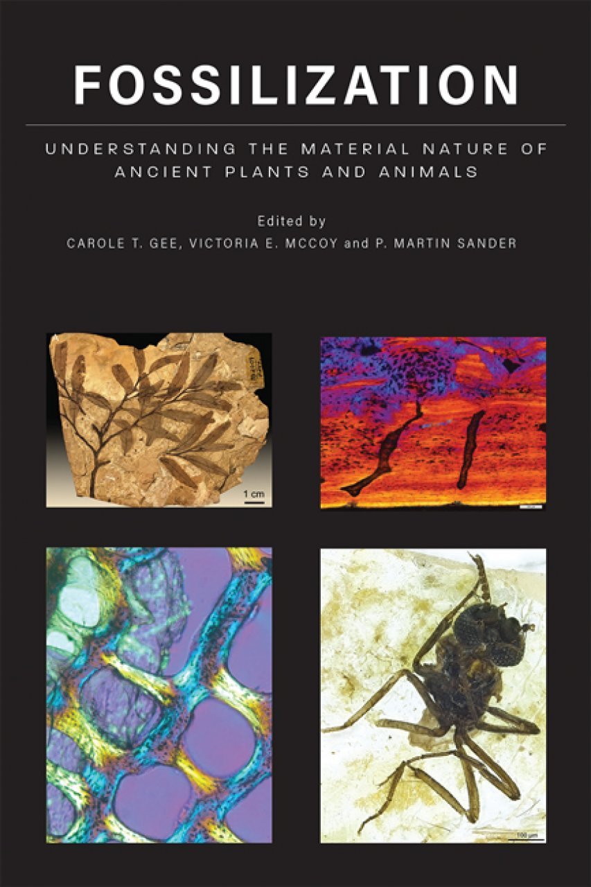 Fossilization: Understanding the Material Nature of Ancient Plants and Animals ebook