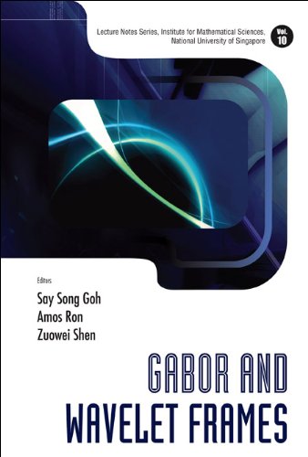 Gabor And Wavelet Frames ebook