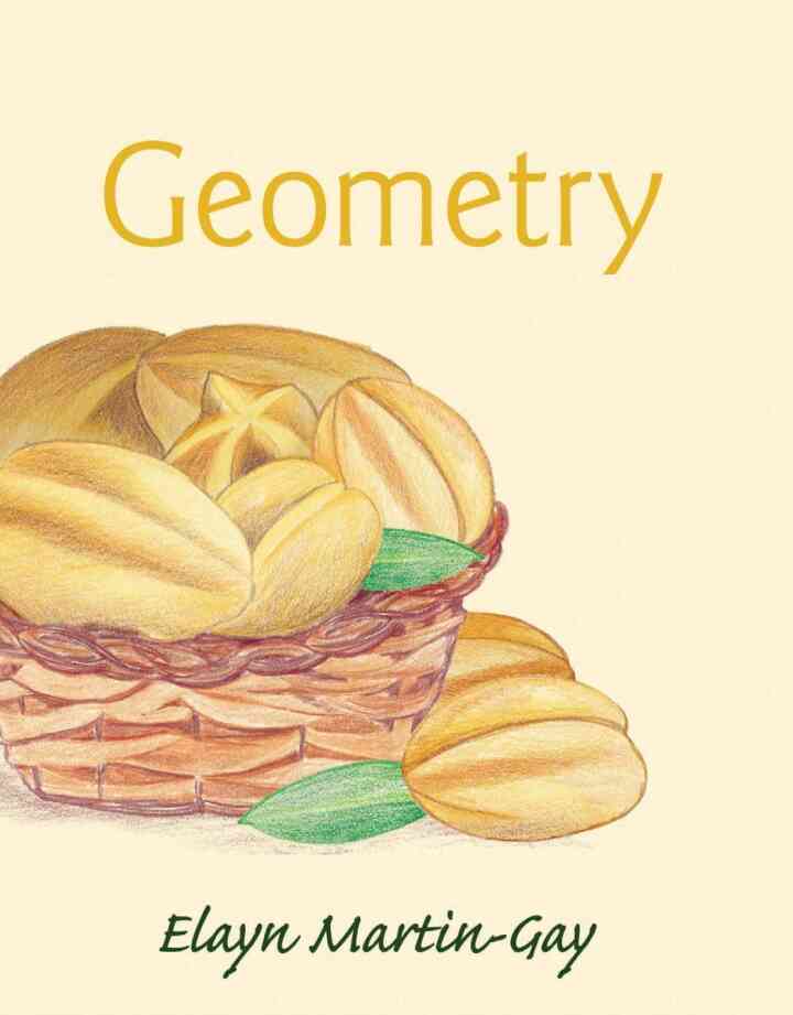 Geometry, 1st Edition ebook
