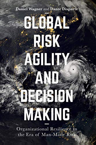 Global Risk Agility and Decision Making ebook
