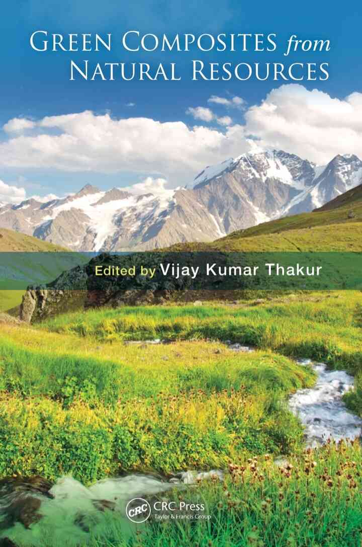 Green Composites from Natural Resources ebook
