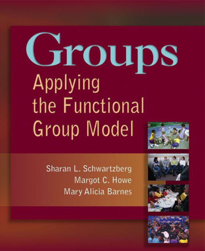 Groups Applying the Functional Group Model ebook