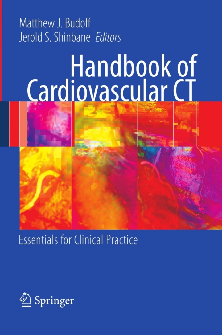 Handbook of Cardiovascular CT: Essentials for Clinical Practice ebook