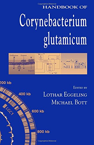 Handbook of Corynebacterium glutamicum ebook
