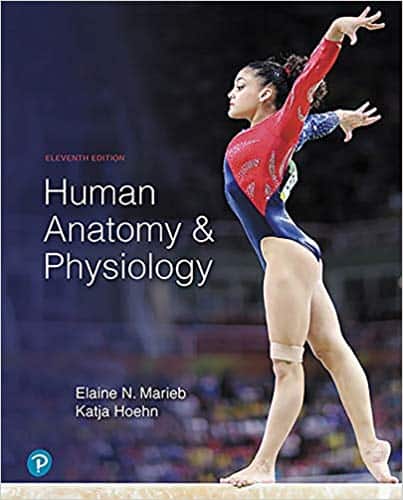 Human Anatomy & Physiology (11th Edition) Marieb and Hoehn ebook