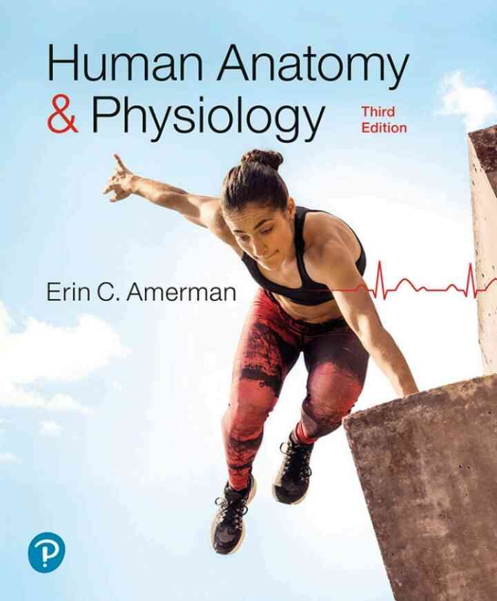 Human Anatomy & Physiology, 3rd Edition ebook
