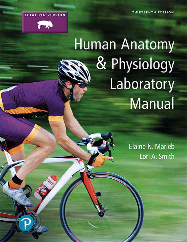 Human Anatomy & Physiology Laboratory Manual, Fetal Pig Version, 13th Edition ebook