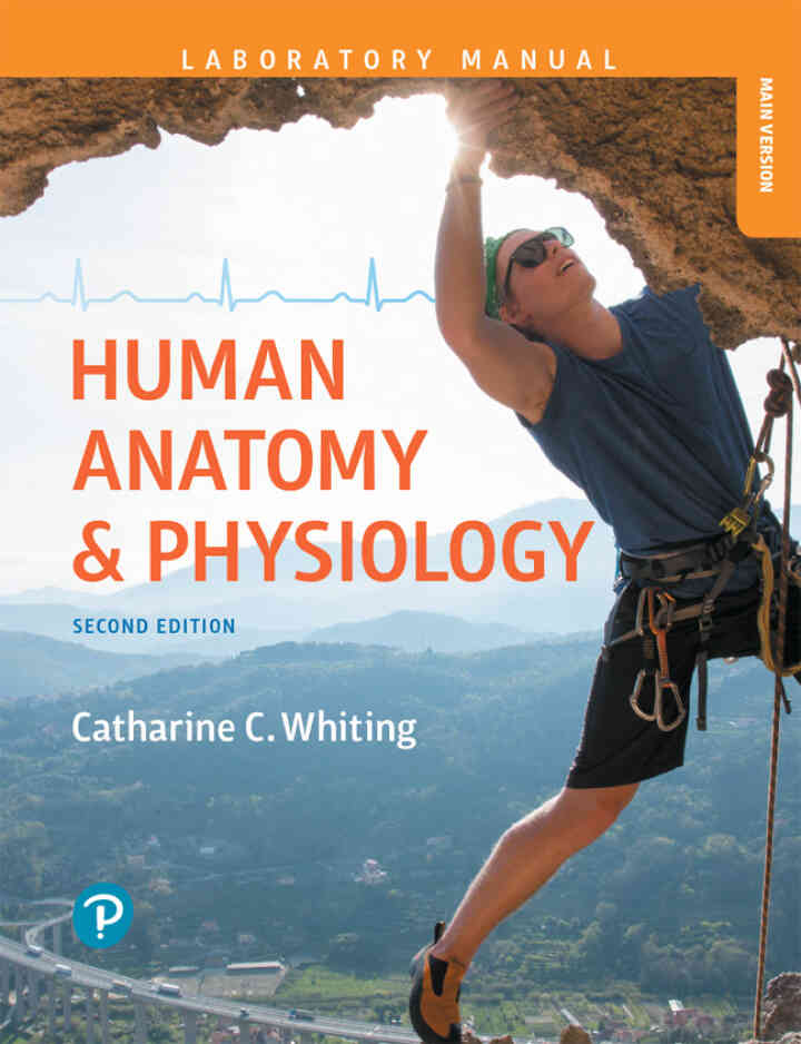 Human Anatomy & Physiology Laboratory Manual: Making Connections, Main Version, 2nd Edition ebook