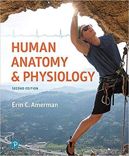 Human Anatomy & Physiology 2nd Edition by Erin C. Amerman ebook