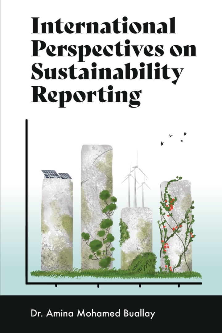 International Perspectives on Sustainability Reporting ebook