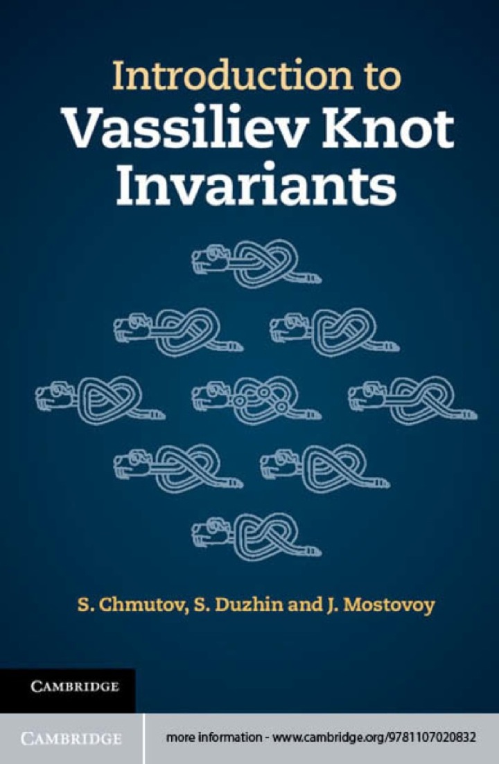 Introduction to Vassiliev Knot Invariants ebook