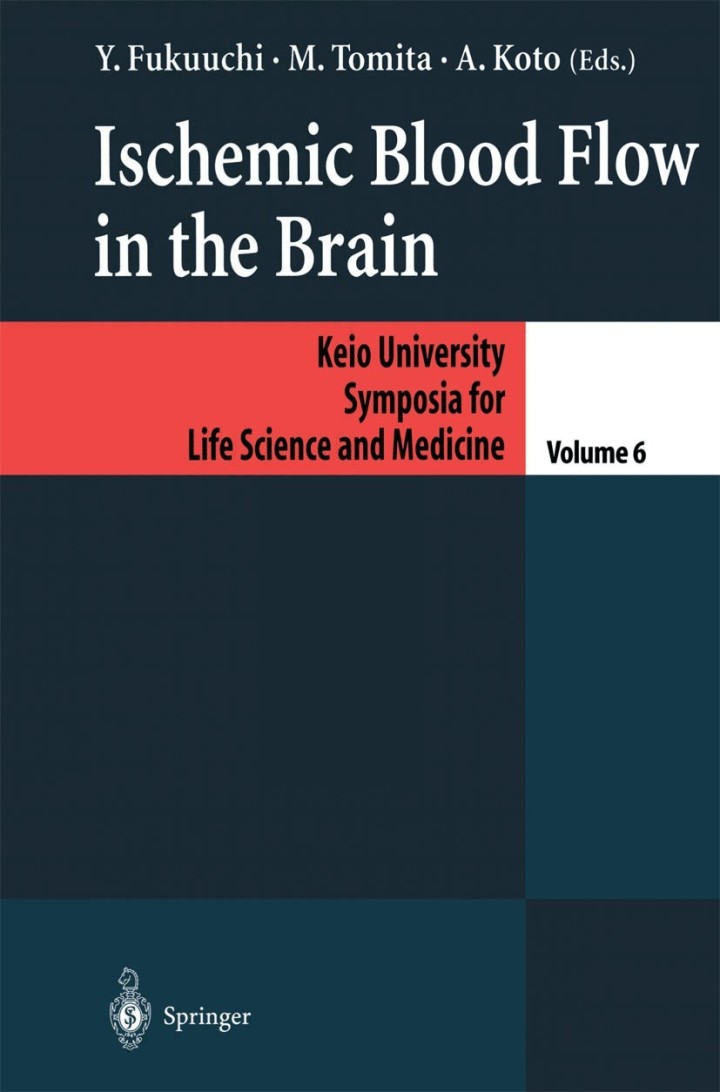 Ischemic Blood Flow in the Brain ebook
