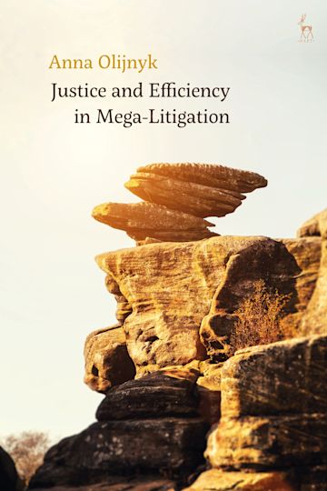 Justice and Efficiency in Mega-Litigation ebook
